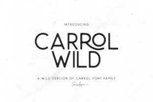 Designing with Distinction: The Carrol Wild Typeface